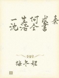 一生何求秦菲雪沈浩全书
