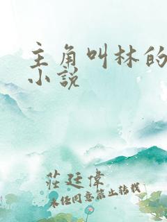 主角叫林的穿越小说