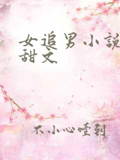 女追男小说推荐甜文