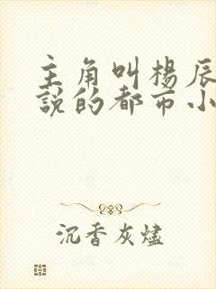 主角叫杨辰的小说的都市小说