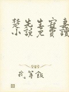 楚先生宠妻日常小说免费读