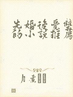 先婚后爱双男主的小说推荐