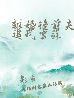 离婚后前夫总是追我云苏