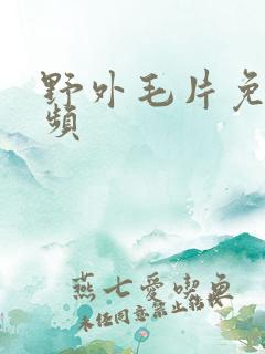 野外毛片免费视频
