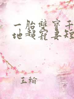 一胎双宝千亿爹地超宠妻短剧在线