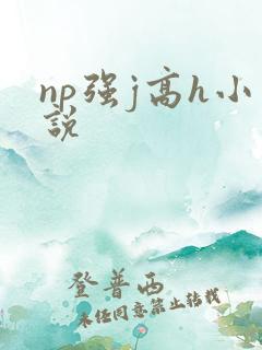 np强j高h小说