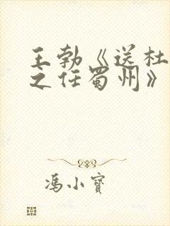 王勃《送杜少府之任蜀州》鉴赏