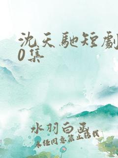 沈天驰短剧100集