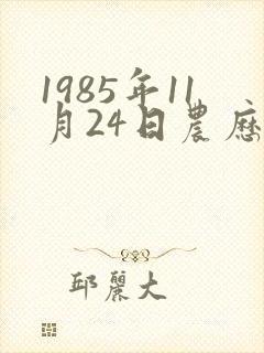 1985年11月24日农历生辰八字