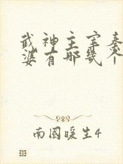 武神主宰秦尘老婆有哪几个