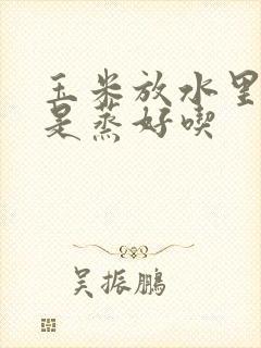玉米放水里煮还是蒸好吃