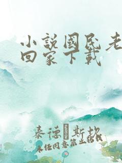 小说国民老公带回家下载