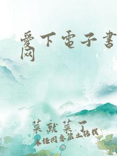 爱下电子书小说网