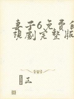 妻子6免费的电视剧完整版中文在线观看