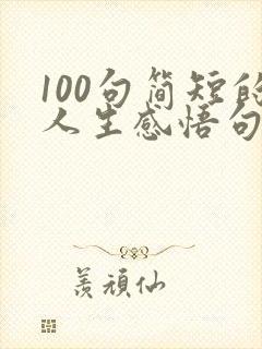 100句简短的人生感悟句子