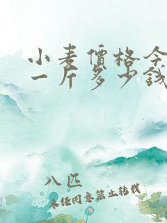 小麦价格今日价一斤多少钱玉米价格