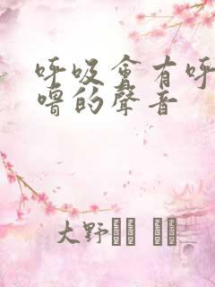 呼吸会有呼噜呼噜的声音
