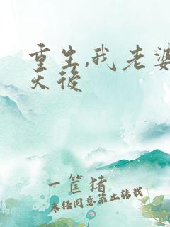 重生,我老婆是天后