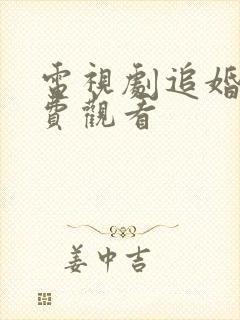 电视剧追婚记免费观看