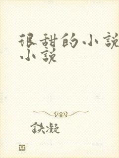 很甜的小说总裁小说
