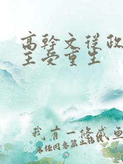 高干文从政双男主受重生