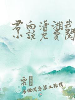 君向潇湘我向秦小说免费阅读