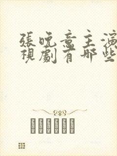 张晚意主演的电视剧有哪些