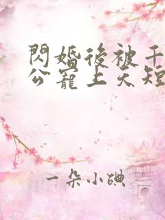 闪婚后被千亿老公宠上天短剧免费版