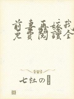 前妻再嫁我一次免费阅读全文