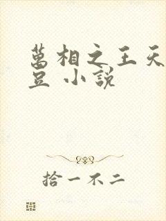 万相之王天蚕土豆 小说