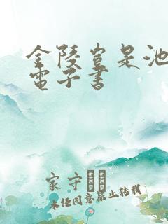 金陵岂是池中物电子书