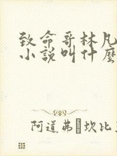 致命哥林凡原著小说叫什么
