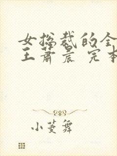 女总裁的全能兵王萧晨 完本