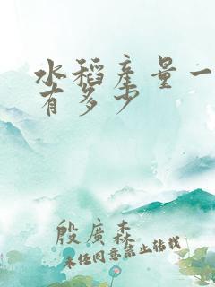 水稻产量一亩能有多少