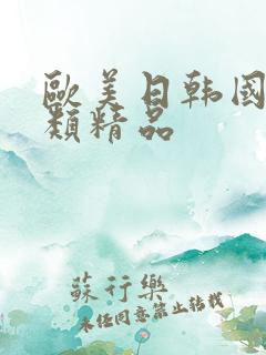 欧美日韩国产另类精品