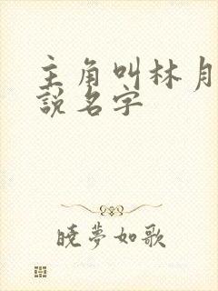 主角叫林月的小说名字