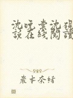 沈晚棠沈砚辞小说在线阅读