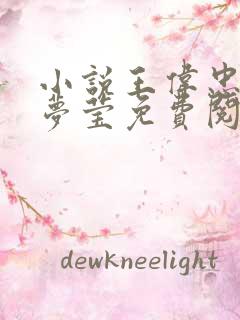 小说王伟忠与周梦莹免费阅读