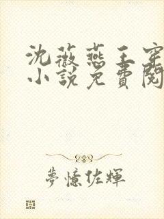 沈薇燕王穿越的小说免费阅读全文