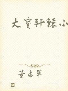 大宝轩辕小说