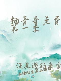 柏青哥免费观看第一季