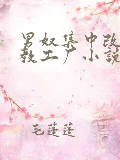 男奴集中改造调教工厂小说