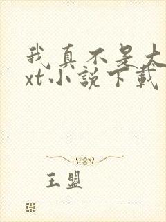 我真不是大佬txt小说下载