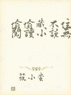 偷偷藏不住免费阅读小说无删减版