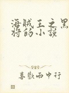 海贼王之黑暗大将的小说