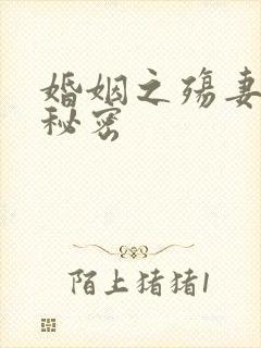 婚姻之殇妻子的秘密