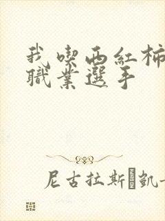 我吃西红柿宇宙职业选手