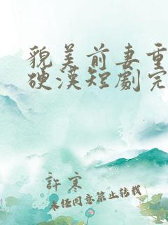 貌美前妻重生嫁硬汉短剧完整版多少集