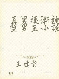 直男逐渐被掰弯双男主小说