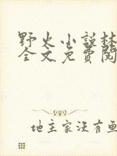 野火小说林晚晚全文免费阅读